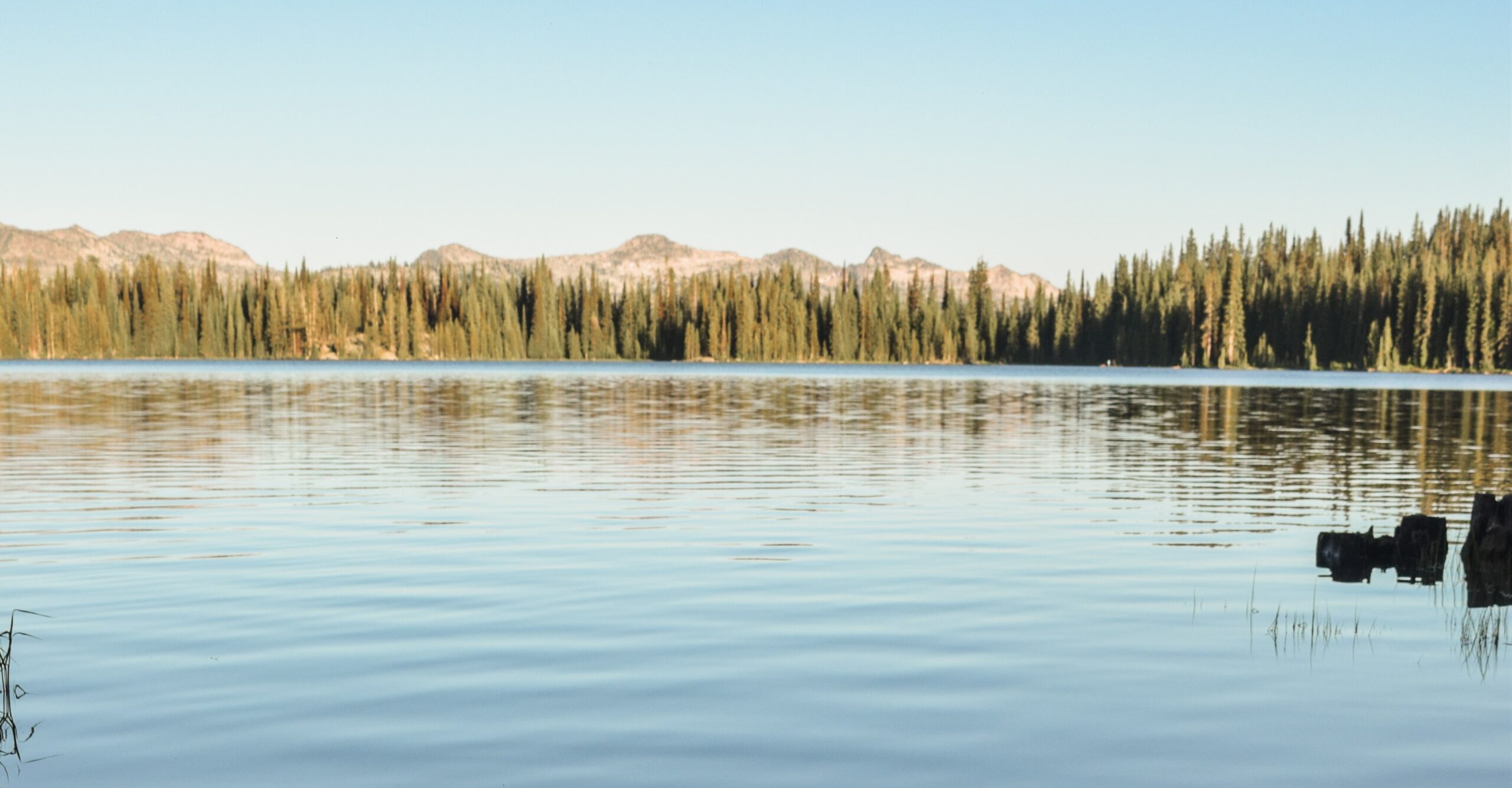 Hayden Lake Parking: Your Guide to Avoiding the "Lake-Rage"