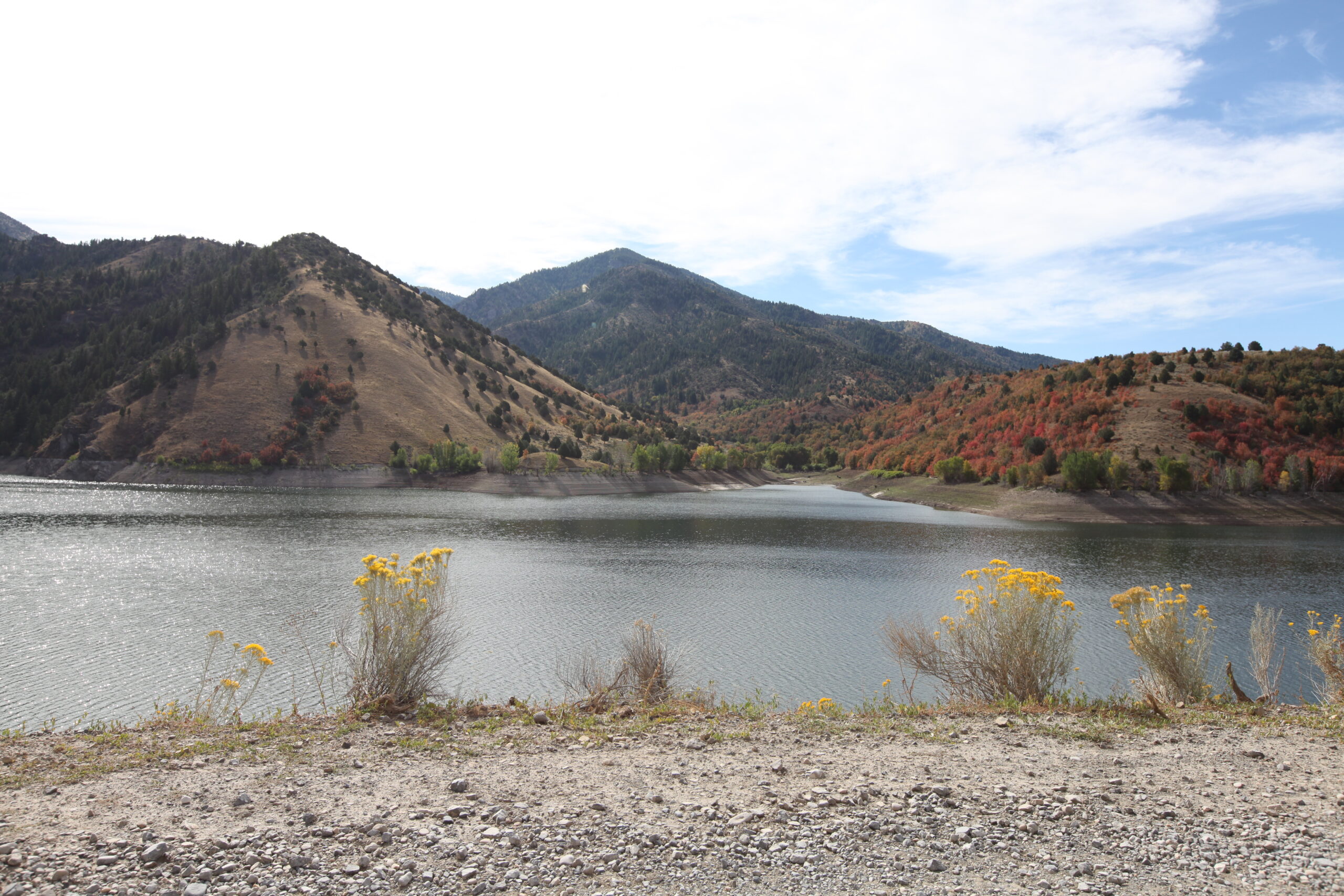 Porcupine Reservoir, UT Kokanee Salmon Fishing - Lures, bait