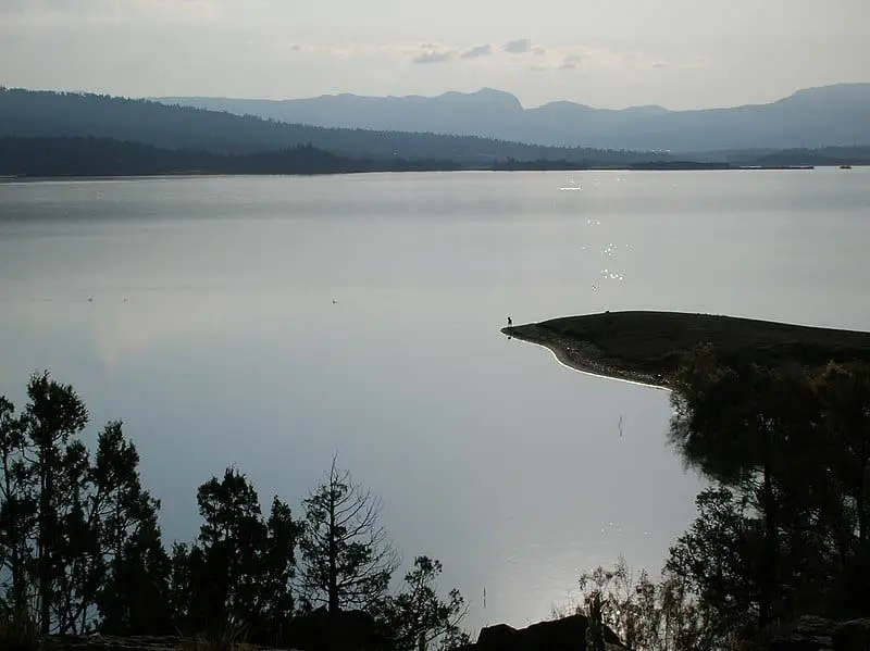 Heron Lake, NM Kokanee Salmon Fishing Kokanee Fishing